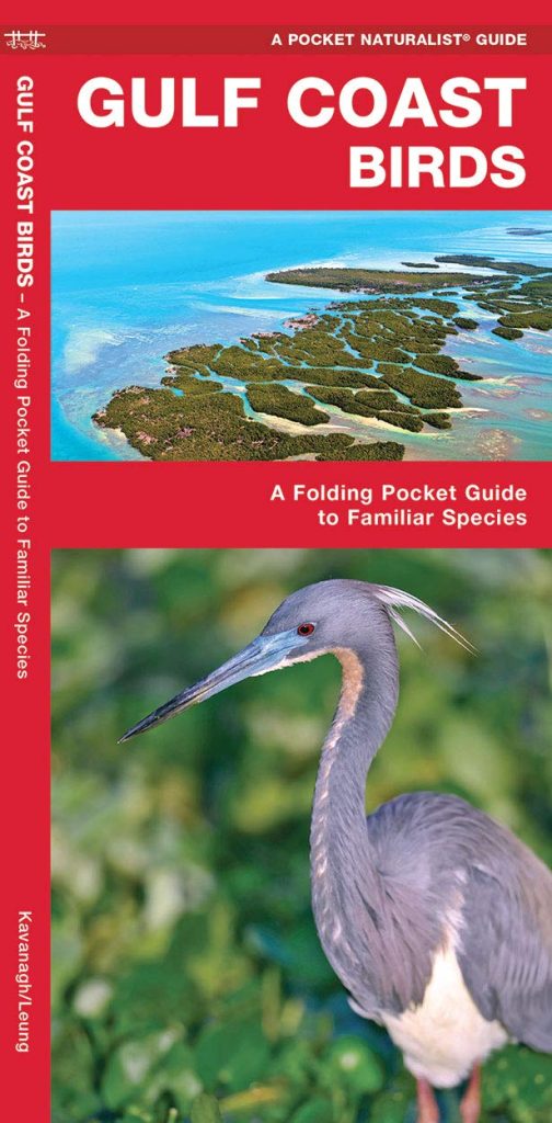 Gulf Coast Birds: A Folding Pocket Guide to Familiar Species (Wildlife and Nature Identification)