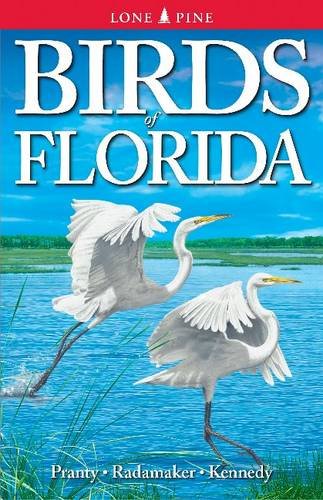 Birds of Florida - shop.beachguide.com
