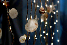 Load image into Gallery viewer, Coastal Curtain Lights 8x5 Feet with 332 LEDs - shop.beachguide.com
