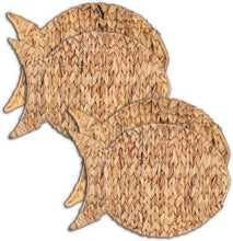 Load image into Gallery viewer, Woven Fish Placemats - shop.beachguide.com
