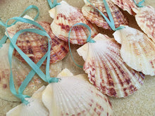 Load image into Gallery viewer, Glitter Seashell Ornaments, set of10 - shop.beachguide.com

