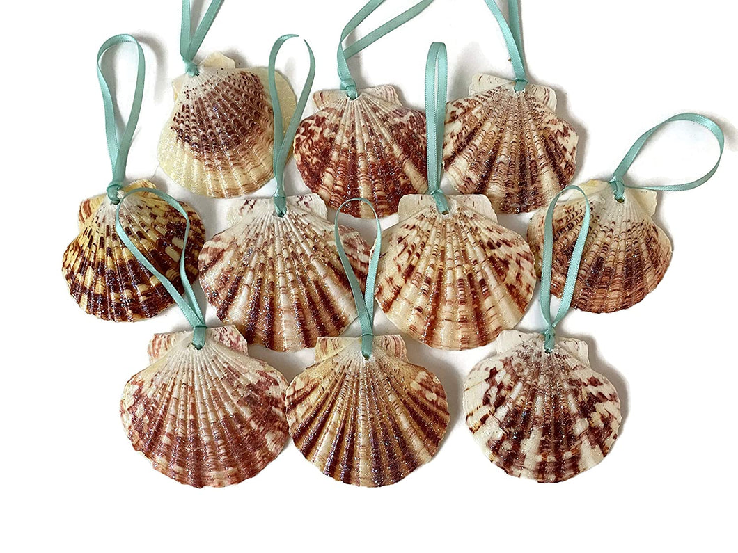 Glitter Seashell Ornaments, set of10 - shop.beachguide.com