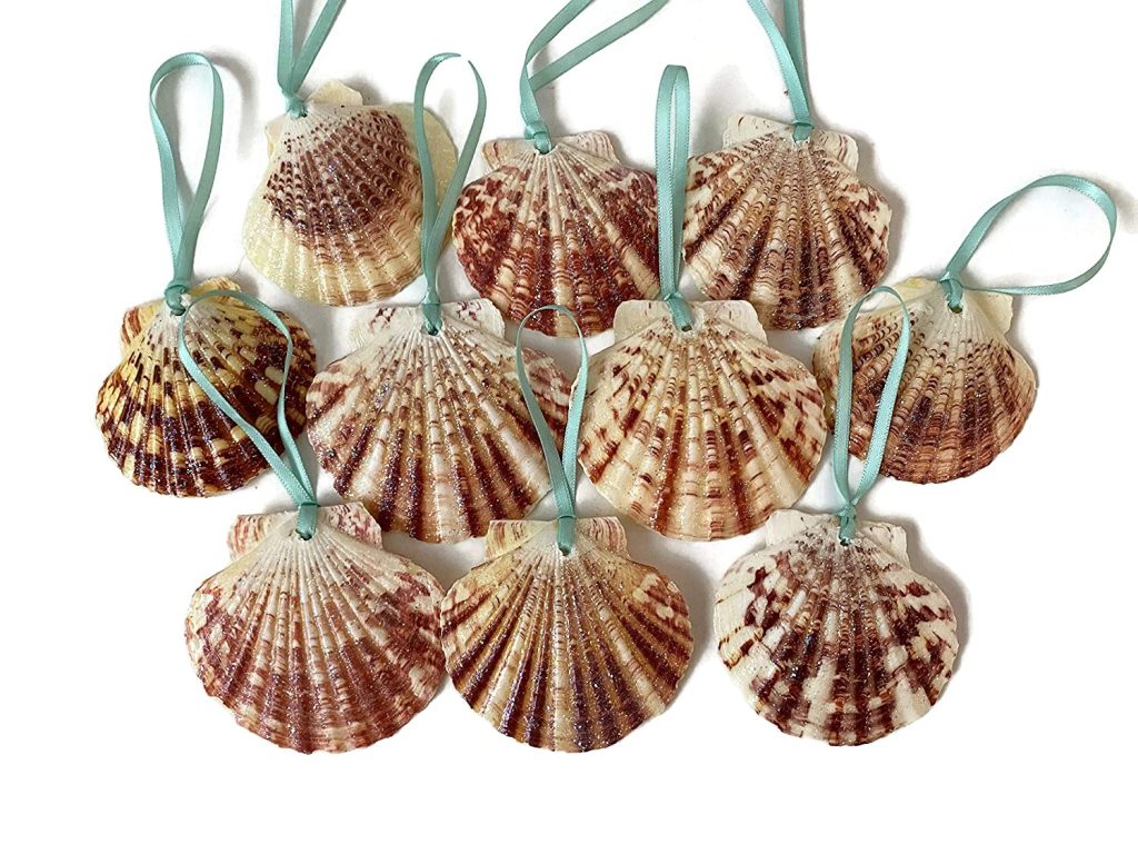Glitter Seashell Ornaments, set of10
